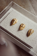 3 goude oesters in glazen box