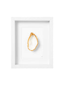witte oester met witte achtegrrond