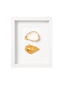 2 goude oester (wit)