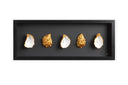 5 goude oesters ingelijst om en om