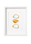 3 goude oester (wit)