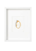 goude oester (wit)