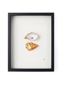 2 oesters ingelijst