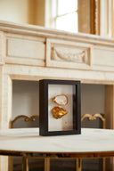 2 oesters ingelijst op tafel