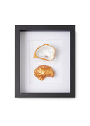 2 Oesters ingelijst tegen witte muur