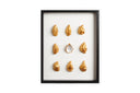 9 goude oesters ingelijst (1 omgedraaid)