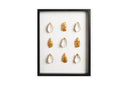 9 goude oesters ingelijst patroon)