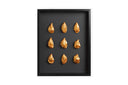 9 oesters ingelijst