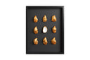 9 goude oesters ingelijst