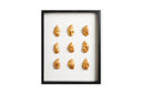 9 goude oesters ingelijst
