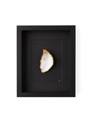 1 goude oester ingelijst