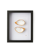 2 oesters ingelijst witte muur
