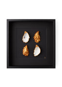 4 oesters ingelijst