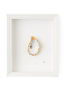 Oester ingelijst witte muur