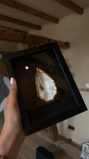 Oester zwarte passe partout