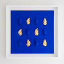 16 oesters blauw + goud ingelijst