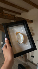 Oyster white