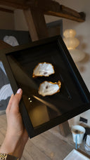 Dubbele oester zwarte passe partout