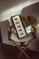 Horizon oesters omgedraaid witte achtergrond