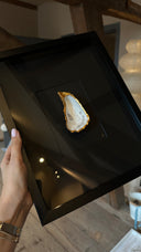 XL lijst 1 oester met zwarte passe partout