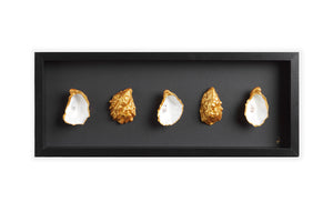 Double Oyster black