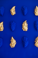 blauw + goude oesters