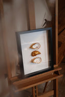 XL lijst 3 oesters met witte passe partout