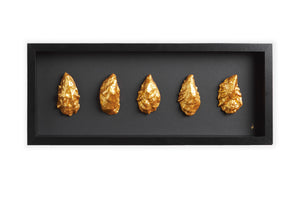 Horizon oesters omgedraaid zwarte achtergrond