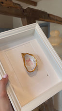 Birth Bow oester 