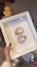Witte Lijst 2 oesters