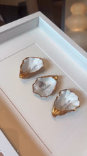 XL lijst 3 oesters Coral