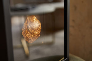 Zeeuws goud zwart