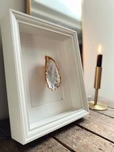 Afbeelding in Gallery-weergave laden, Witte Lijst 1 oester
