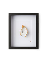 Load image into Gallery viewer, &lt;transcy&gt;Double Oyster white&lt;/transcy&gt;
