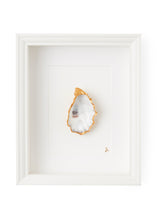 Afbeelding in Gallery-weergave laden, Witte Lijst 1 oester
