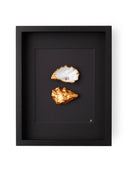 XL frame black passe partout