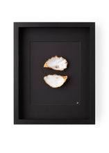 Afbeelding in Gallery-weergave laden, XL lijst 2 oesters met zwarte passe partout
