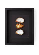 XL frame black passe partout