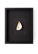 XL frame black passe partout