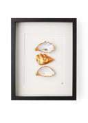 XL frame white passe partout