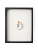 XL frame white passe partout
